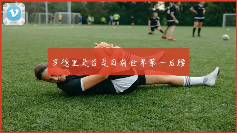罗德里是否是目前世界第一后腰